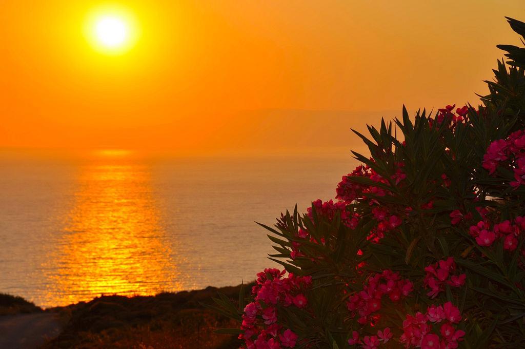 Golden Sun Hotel Grikos Bay  Buitenkant foto